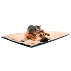 Duvo+ Flectabed Q -Kattenbenodigdheden Winkel e731b79e8da682839922aea4f9011a7dae868814c04ea8dc9e67144e2f8ec15d 3