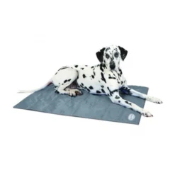 Scruffs Cooling Mat -Kattenbenodigdheden Winkel f3ac318b6e6e6b42855db51248e05504fdcc915c79eeb971b91c906bcbc3b6b4 5