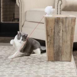 Frolicat Dancing Dot 9 Frolicat Dancing Dot -Kattenbenodigdheden Winkel frolicat dancing dot 184735 1000 none