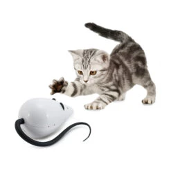 FroliCat RoloRat -Kattenbenodigdheden Winkel frolicat rolorat 136585 2000 none