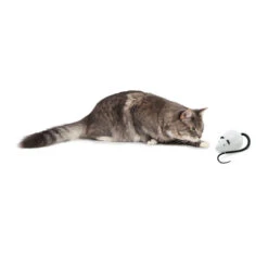 FroliCat RoloRat -Kattenbenodigdheden Winkel frolicat rolorat 136588 2000 none