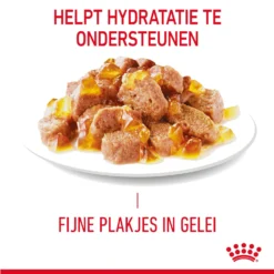 Royal Canin Light Weight Care In Jelly - Kattenvoer -Kattenbenodigdheden Winkel gHz8KLAqtgAJp5nKH3bPtgMazghEWl metaUm95YWwtQ2FuaW4tTGlnaHQtV2VpZ2h0LUNhcmUtaW4tSmVsbHlfMDMuanBn