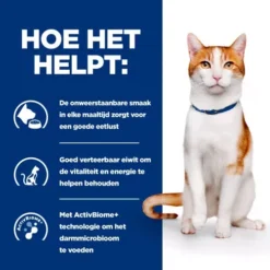 Hill's ON-Care - Prescription Diet - Feline 12 Hill's ON-Care - Prescription Diet - Feline -Kattenbenodigdheden Winkel hills on care prescription diet feline 224079 0500 none