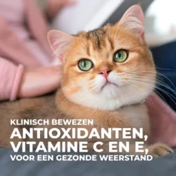 Hill's Science Plan - Feline Senior Vitality -Kattenbenodigdheden Winkel hills science plan feline senior vitality 218664 0500 none