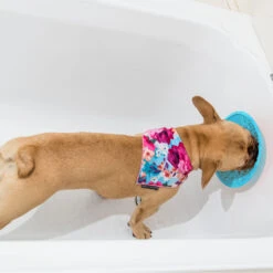 LickiMat Splash -Kattenbenodigdheden Winkel lickimat splash 164212 2000 none