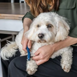 Mikki Doodle De-Matter 7 Mikki Doodle De-Matter -Kattenbenodigdheden Winkel mikki doodle de matter 194483 2000 none