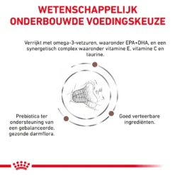 Royal Canin Fibre Response Kat 16 Royal Canin Fibre Response Kat -Kattenbenodigdheden Winkel nyI6vuiTbPWeLQqTv2cH7zjGmUvKe5 metaR0FTVFJPSU5URVNUSU5BTC1GSUJSRS1SRVNQT05TRS00LmpwZw