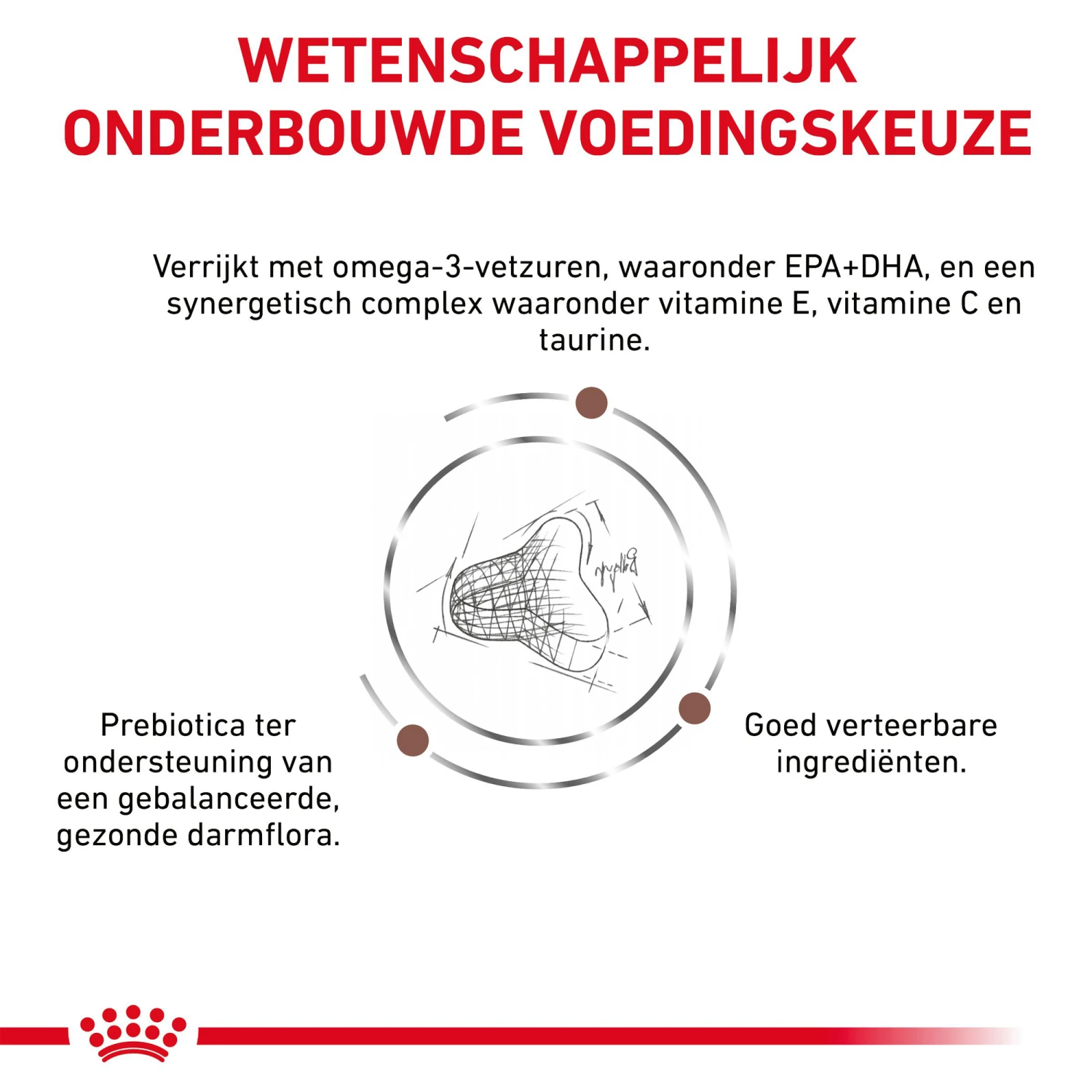 Royal Canin Fibre Response Kat 5 Royal Canin Fibre Response Kat - Afbeelding 5