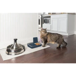 PetSafe Automatic 2 Meal Pet Feeder 7 PetSafe Automatic 2 Meal Pet Feeder -Kattenbenodigdheden Winkel petsafe automatic 2 meal pet feeder 197477 0500 none