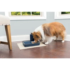 PetSafe Automatic 2 Meal Pet Feeder 8 PetSafe Automatic 2 Meal Pet Feeder -Kattenbenodigdheden Winkel petsafe automatic 2 meal pet feeder 197492 0500 none
