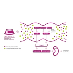 Porus One -Kattenbenodigdheden Winkel porus one 134455 1000 none