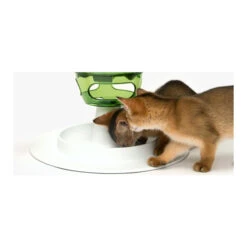 Catit Senses 2.0 Food Tree -Kattenbenodigdheden Winkel product catit senses 20 food tree none 4 1479823864 81016