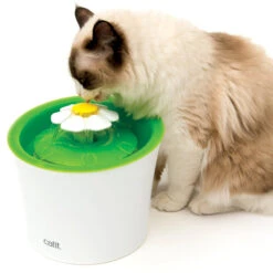 Catit Senses 2.0 Flower Fountain 8 Catit Senses 2.0 Flower Fountain -Kattenbenodigdheden Winkel product catit senses flower fountain none 4 1479475405 80800