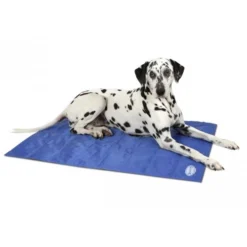 Scruffs Cooling Mat -Kattenbenodigdheden Winkel product scruffs cooling mat none 4 1472200004 76951