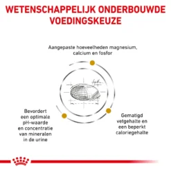 Royal Canin Urinary S/O Moderate Calorie Kat - Maaltijdzakje -Kattenbenodigdheden Winkel qVH1njwjhLGzL1viSK00YmqUXoHbEN metacm95YWxfY2FuaW5fdXJpbmFyeV9zb19tb2RlcmF0ZV9jYWxvcmllX2thdF8xNTM3OTZfMTAwMF9ub25lLmpwZw