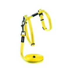 Rogz Beltz - AlleyCat Tuig & Lijn -Kattenbenodigdheden Winkel rogz beltz alleycat tuig lijn 110560 0500 none