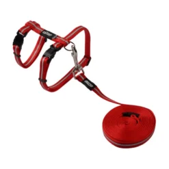 Rogz Beltz - AlleyCat Tuig & Lijn -Kattenbenodigdheden Winkel rogz beltz alleycat tuig lijn 110566 0500 none