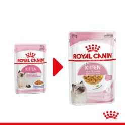 Royal Canin Kitten In Jelly - Kattenvoer -Kattenbenodigdheden Winkel royal canin kitten in jelly kattenvoer 207116 2000 none