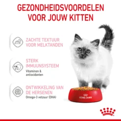 Royal Canin Kitten In Jelly - Kattenvoer -Kattenbenodigdheden Winkel royal canin kitten in jelly kattenvoer 207119 2000 none