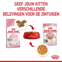 Royal Canin Kitten In Jelly - Kattenvoer -Kattenbenodigdheden Winkel royal canin kitten in jelly kattenvoer 207122 2000 none