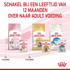 Royal Canin Kitten In Jelly - Kattenvoer -Kattenbenodigdheden Winkel royal canin kitten in jelly kattenvoer 207131 2000 none