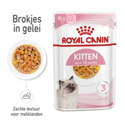 Royal Canin Kitten In Jelly - Kattenvoer -Kattenbenodigdheden Winkel royal canin kitten in jelly kattenvoer 207140 2000 none