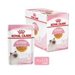 Royal Canin Kitten In Jelly - Kattenvoer -Kattenbenodigdheden Winkel royal canin kitten in jelly kattenvoer 207143 2000 none
