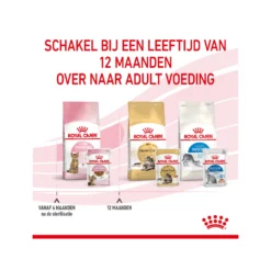 Royal Canin Kitten Sterilised In Gravy - Maaltijdzakje -Kattenbenodigdheden Winkel royal canin kitten sterilised in gravy maaltijdzakje 207245 2000 none