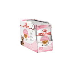 Royal Canin Kitten Sterilised In Jelly - Maaltijdzakje -Kattenbenodigdheden Winkel royal canin kitten sterilised in jelly kattenvoer 201959 1500 none