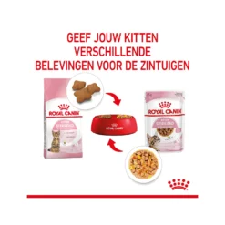 Royal Canin Kitten Sterilised In Jelly - Maaltijdzakje -Kattenbenodigdheden Winkel royal canin kitten sterilised in jelly maaltijdzakje 207212 2000 none