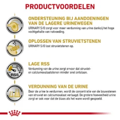 Royal Canin Skin & Coat Wet -Kattenbenodigdheden Winkel royal canin skin coat wet 153649 1000 none