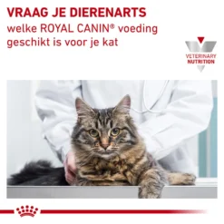 Royal Canin Urinary S/O Kat - Maaltijdzakje -Kattenbenodigdheden Winkel royal canin urinary so kat 153625 1000 none