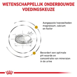 Royal Canin Urinary S/O Kat - Maaltijdzakje -Kattenbenodigdheden Winkel royal canin urinary so kat 153808 1000 none