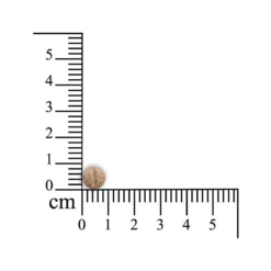 Sensipharm Sneeze Aid Kat -Kattenbenodigdheden Winkel sensipharm sneeze aid kat 174685 1000 none