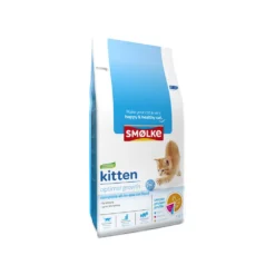 Smølke Kitten -Kattenbenodigdheden Winkel smlke kitten 154903 1000 none