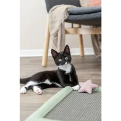 Trixie Junior Krabmat -Kattenbenodigdheden Winkel trixie junior krabmat 221246 0500 none