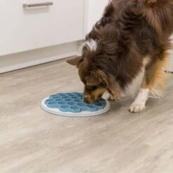 Trixie Slow Feeding Voederbak Bijenkorf 8 Trixie Slow Feeding Voederbak Bijenkorf -Kattenbenodigdheden Winkel trixie slow feeding voederbak bijenkorf 205454 0500 none