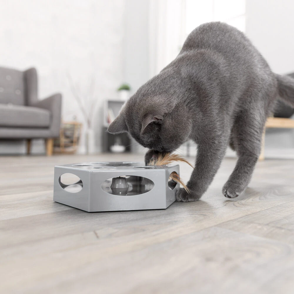 Trixie Turning Feather 4 Trixie Turning Feather - Afbeelding 4