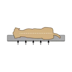 Beeztees Memory Foam Jaxx - Hondenmand - Pluche 35 Beeztees Memory Foam Jaxx - Hondenmand - Pluche -Kattenbenodigdheden Winkel wxf4l1mvpytg33ul1CCfKnxW0Jn5Rq metaQmVlenRlZXMtTWVtb3J5LUZvYW0tVW1hLUhvbmRlbm1hbmQtb3J0aG9wZWRpc2NoLTIuanBn