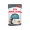 Royal Canin Hairball Care In Gravy - Kattenvoer