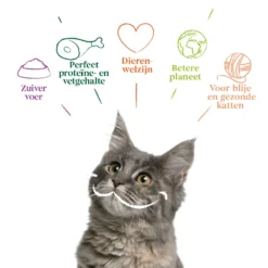 Yarrah - Natvoer Kat Kuipje Chunks Met Kip & Vis Bio 10 Yarrah - Natvoer Kat Kuipje Chunks Met Kip & Vis Bio -Kattenbenodigdheden Winkel yarrah natvoer kat kuipje chunks met kip vis bio 200390 1000 none