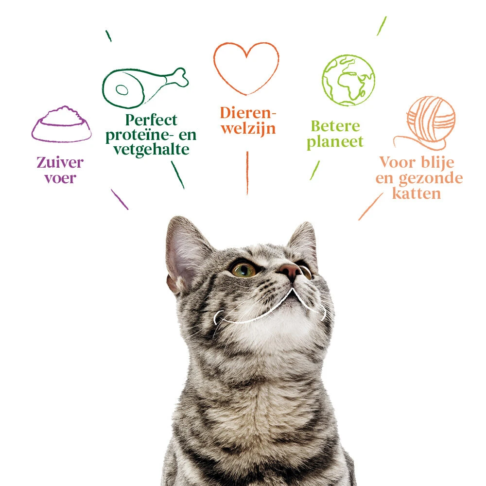 Yarrah Bio Cat Pouch - Chicken In Gravy 5 Yarrah Bio Cat Pouch - Chicken In Gravy - Afbeelding 5