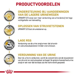 Royal Canin Urinary S/O Kat -Kattenbenodigdheden Winkel znVPdapKahwHPJlG666BCg37AIk9Q7 metaVVJJTkFSWS1TTy1MT0FGLTMuanBn