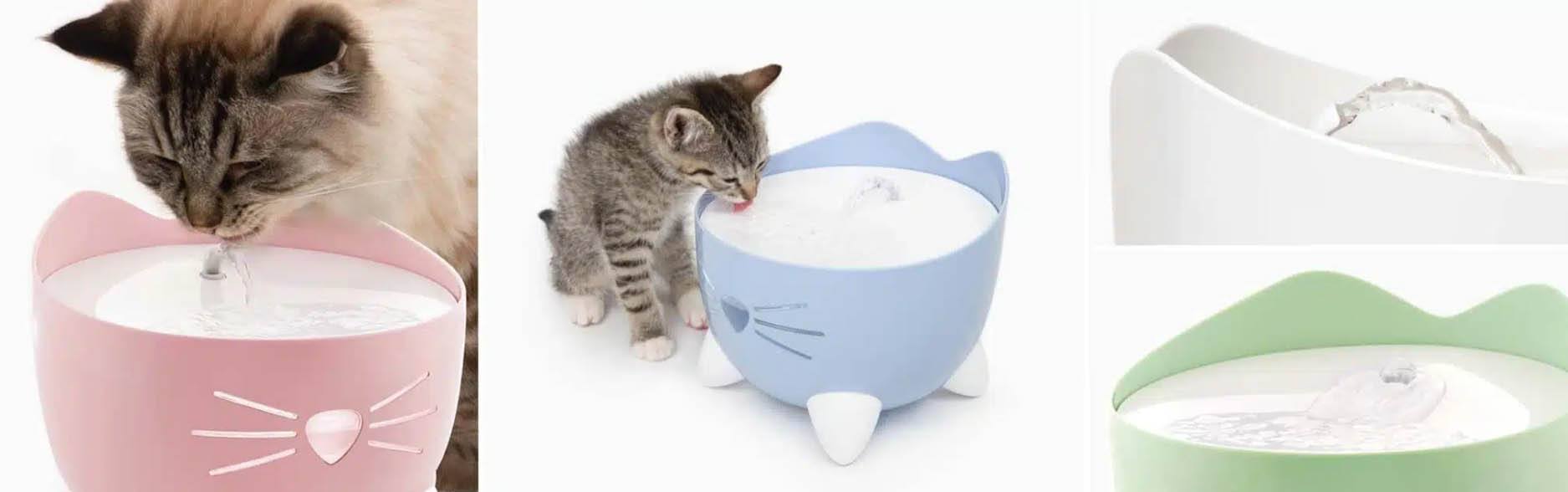 Kattenbenodigdheden Winkel -Kattenbenodigdheden Winkel edfgdg